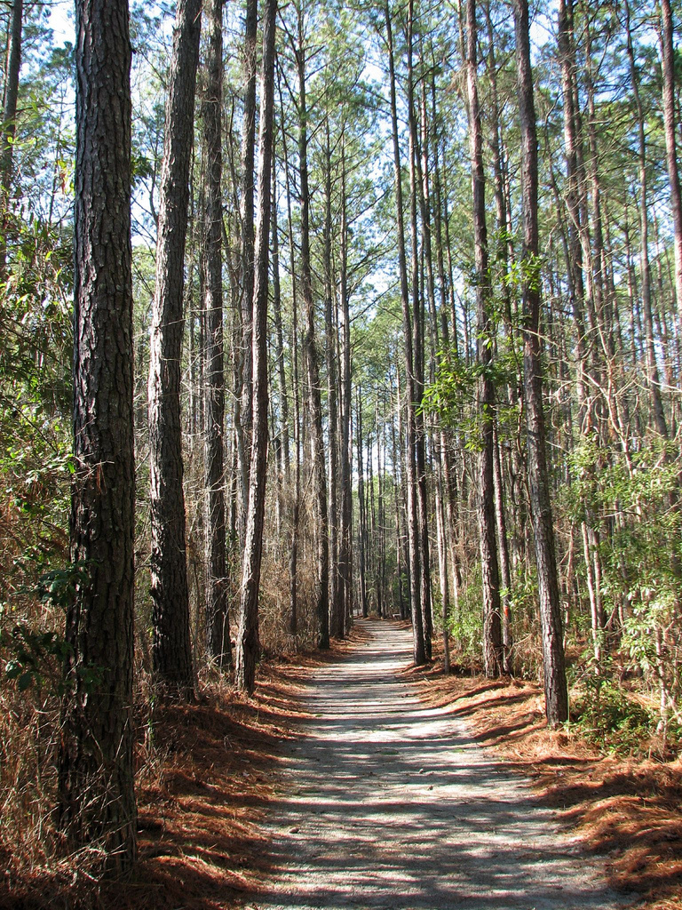 Goose Creek State Park
