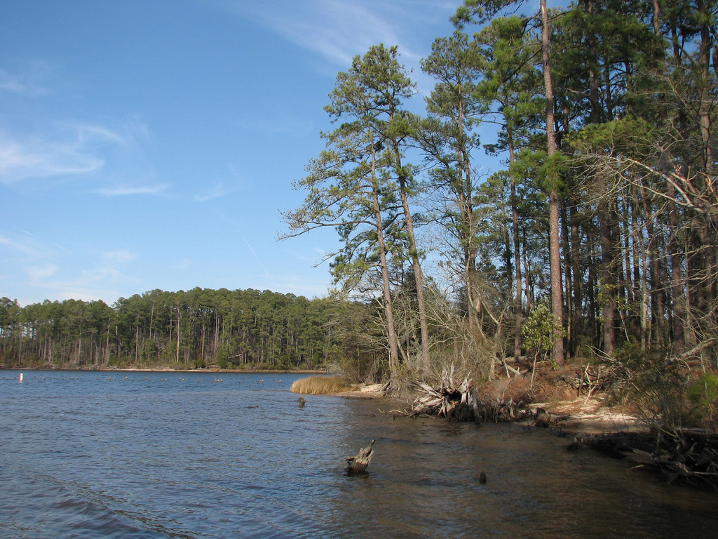 Goose Creek State Park