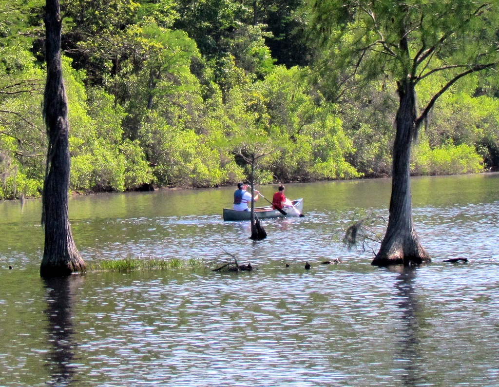 Singletary Lake State Park