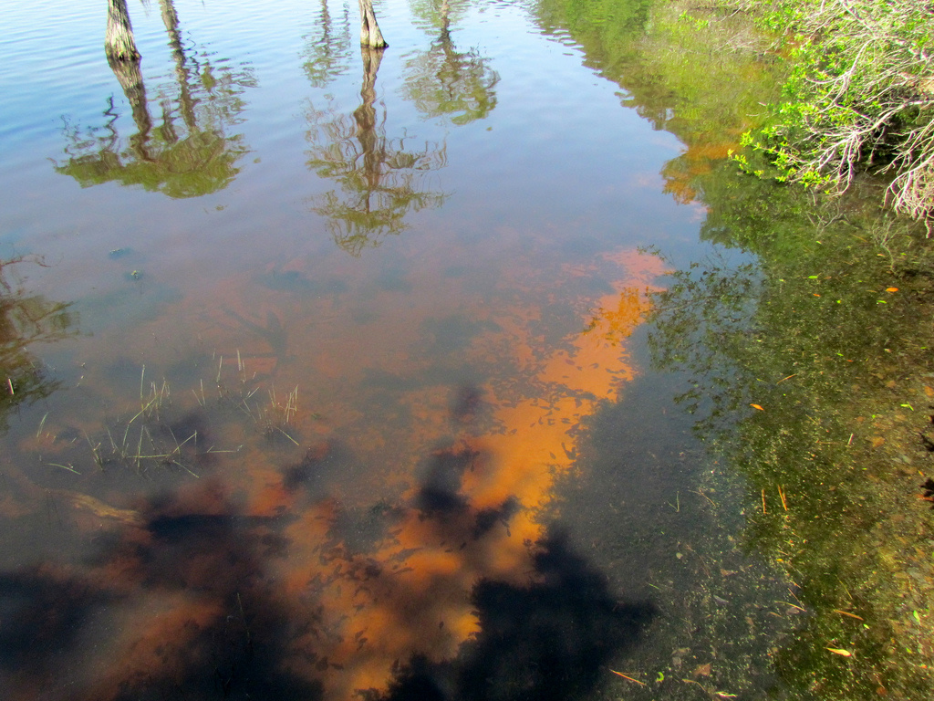 Singletary Lake State Park