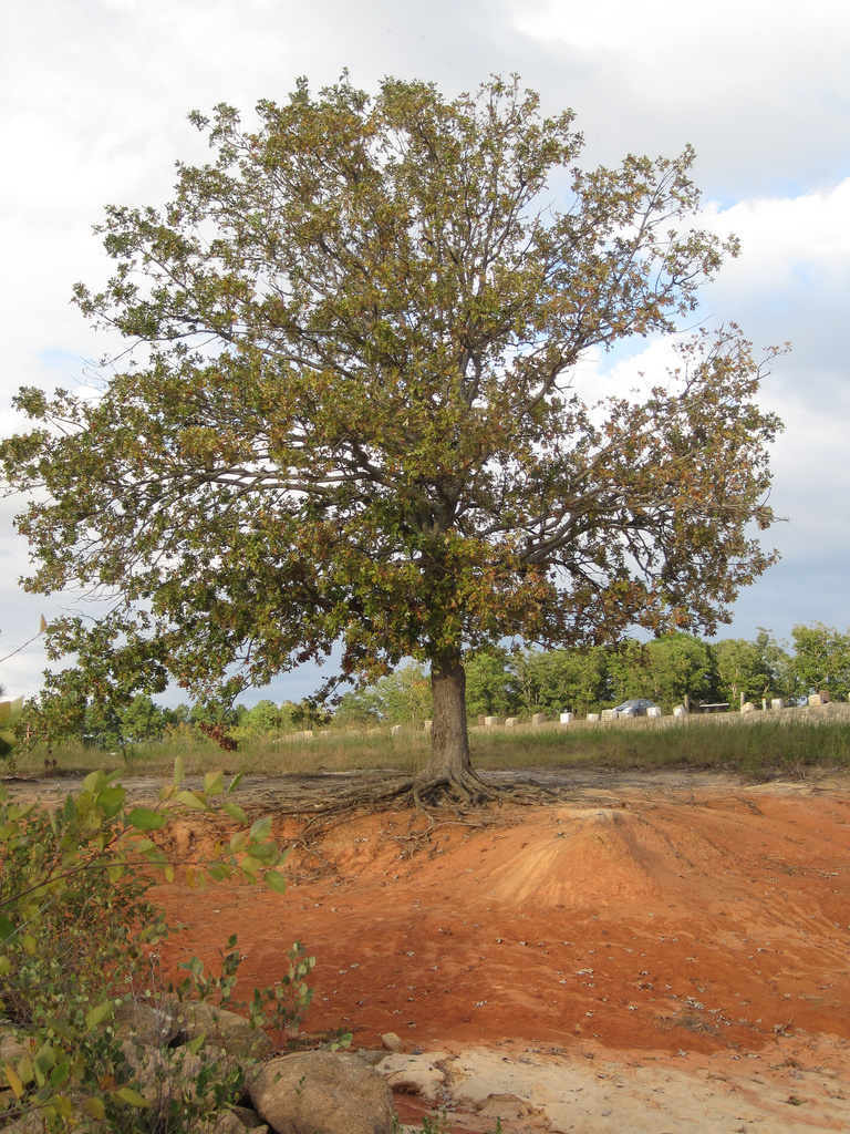 John H. Kerr Dam and Reservoir