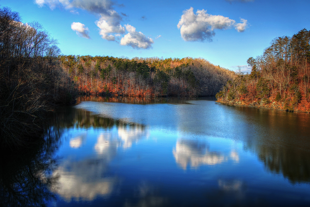Jamison Mill Campground