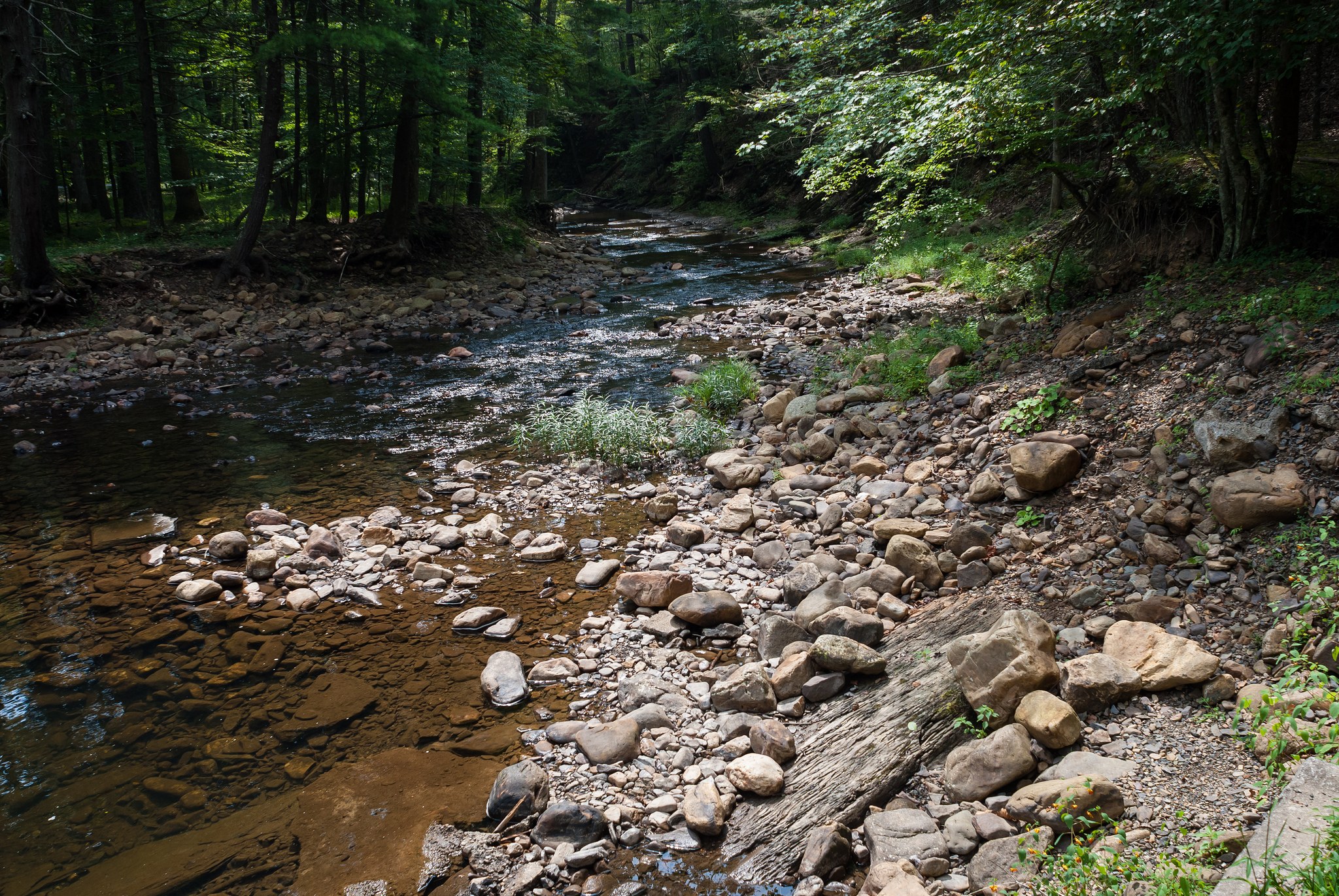 Douthat State Park Campground