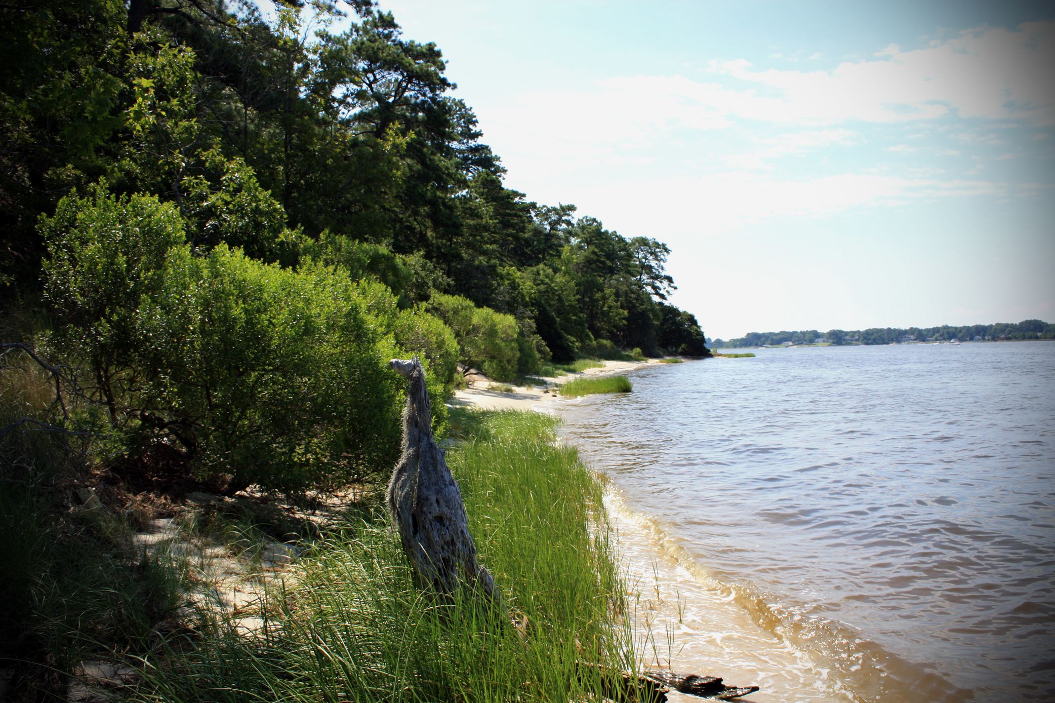 First Landing State Park Campground