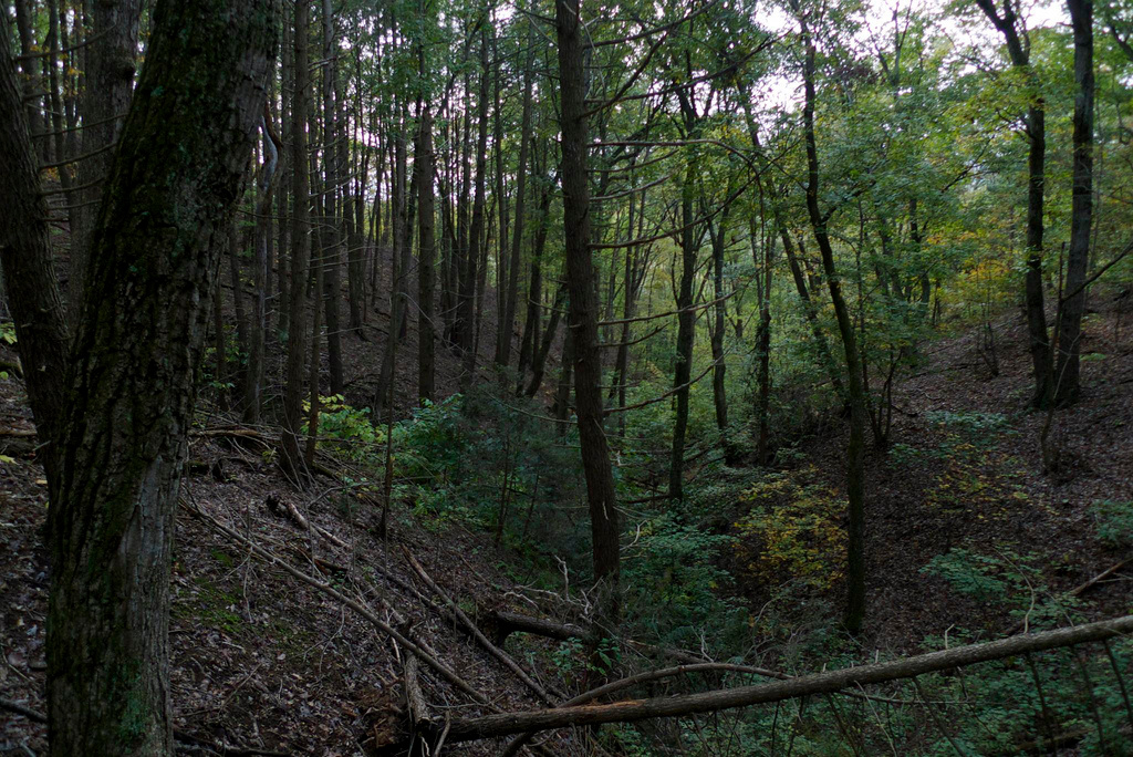 Shenandoah River Campground