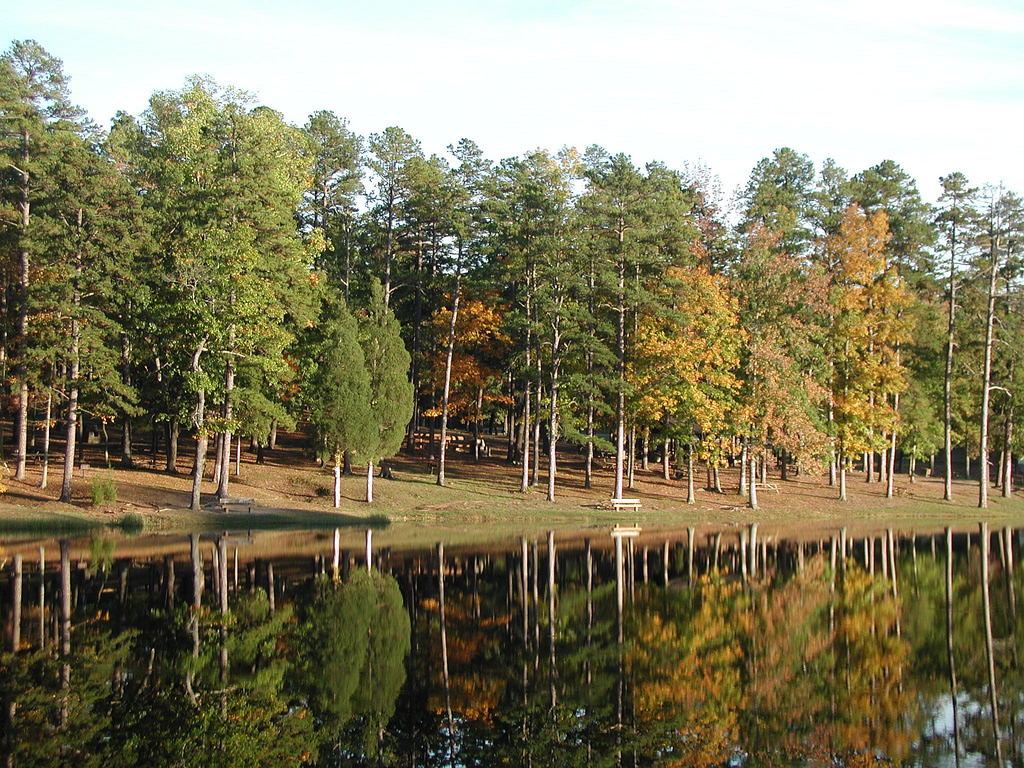 Twin Lakes State Park Virginia