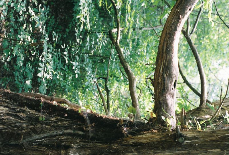 Big Hill Pond State Park