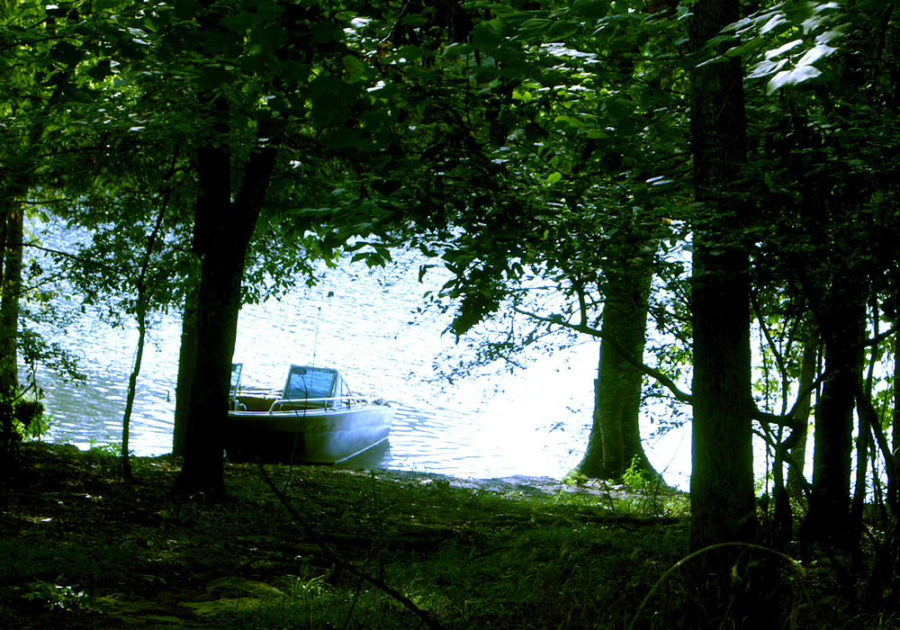 Bledsoe Creek Camping Campground