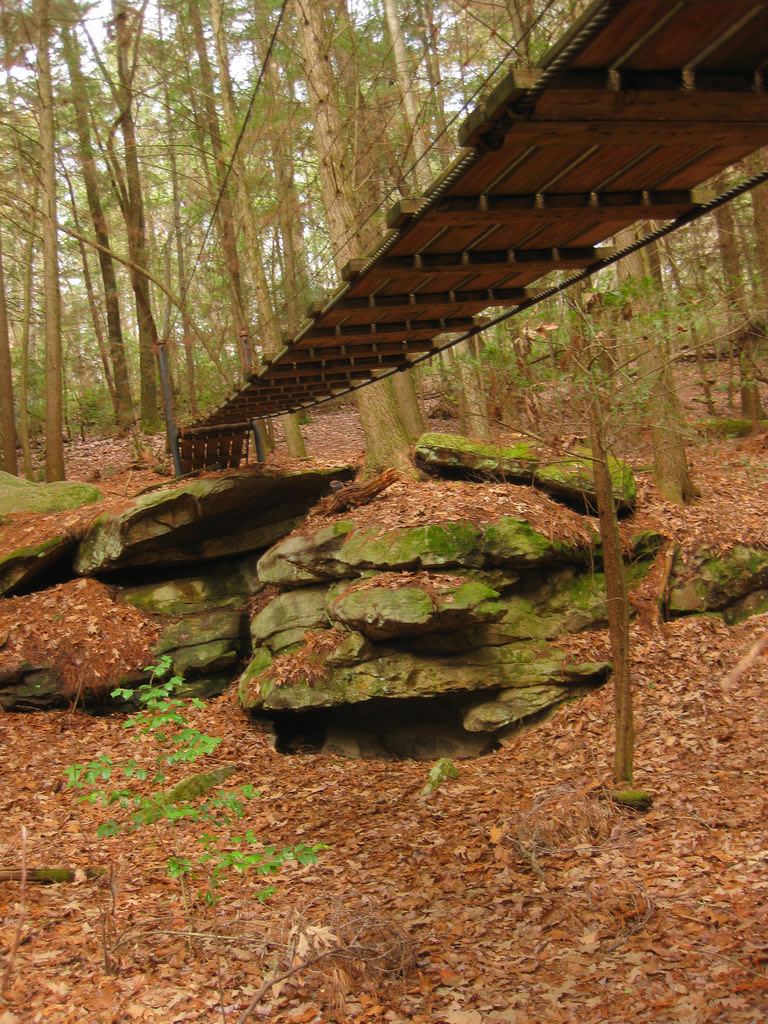 Cumberland Mountain State Park