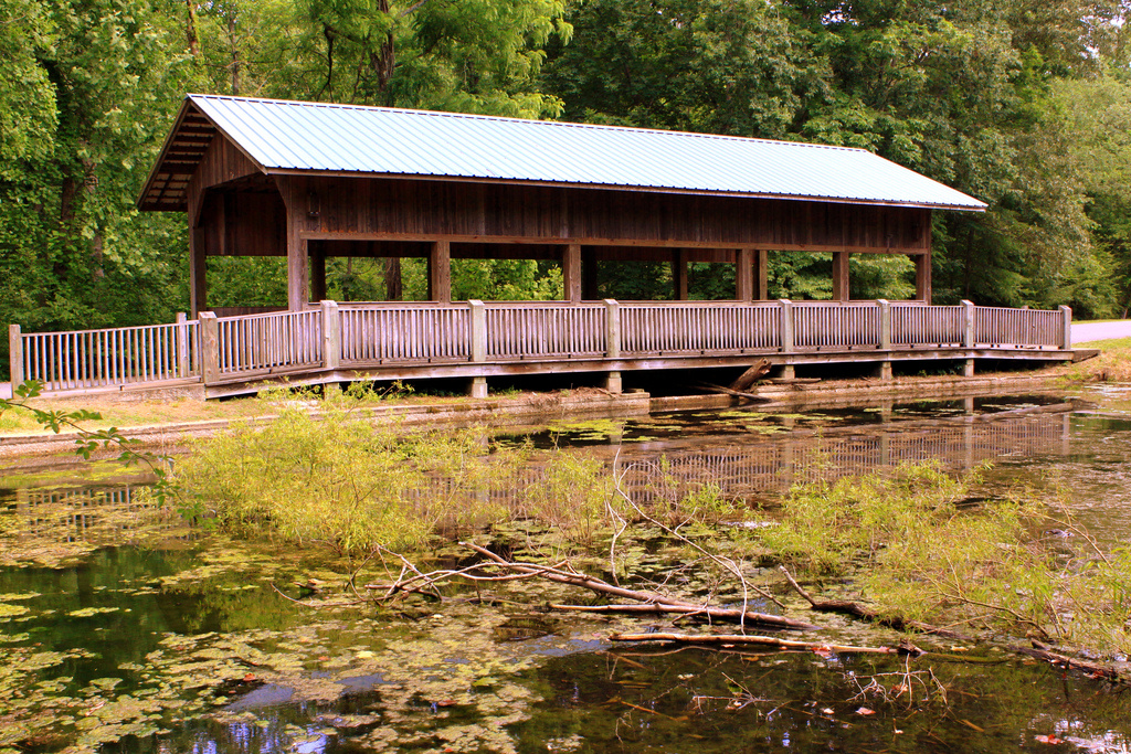 David Crockett Campground