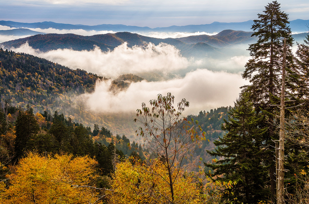 Great Smoky Mountains National Park