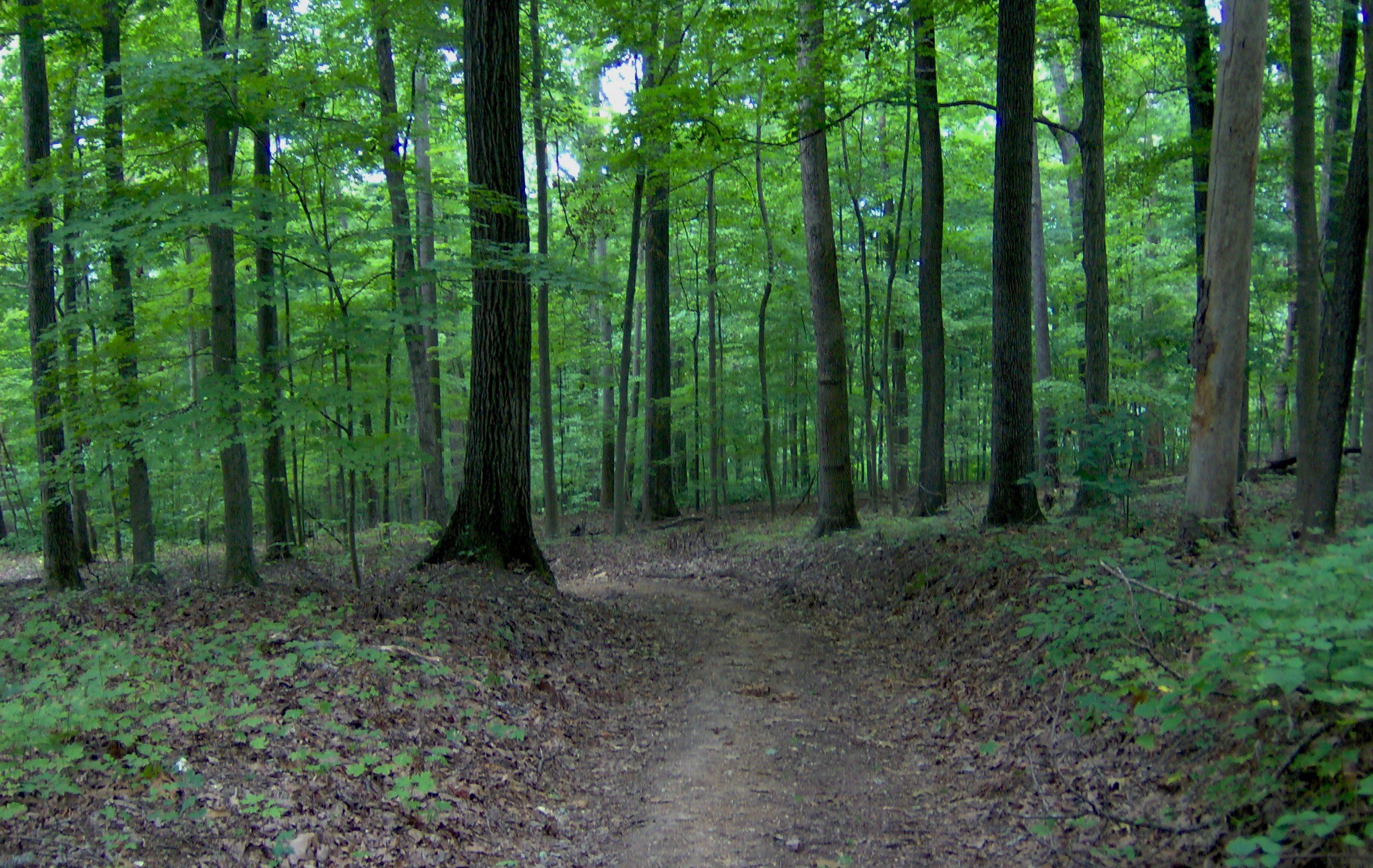 Norris Dam Campground