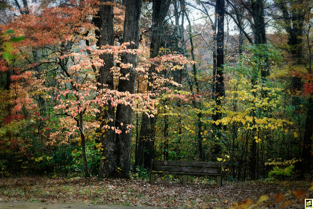 Old Stone Fort Campground
