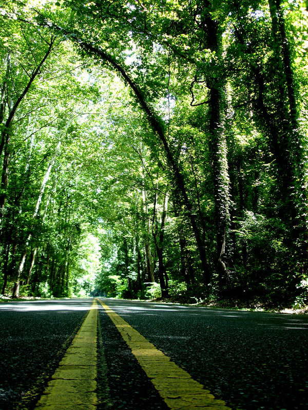 T.O. Fuller State Park