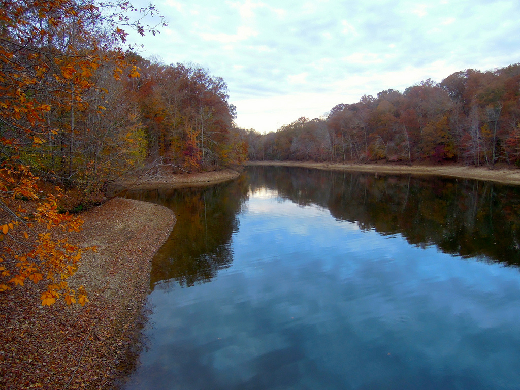 Tims Ford State Park