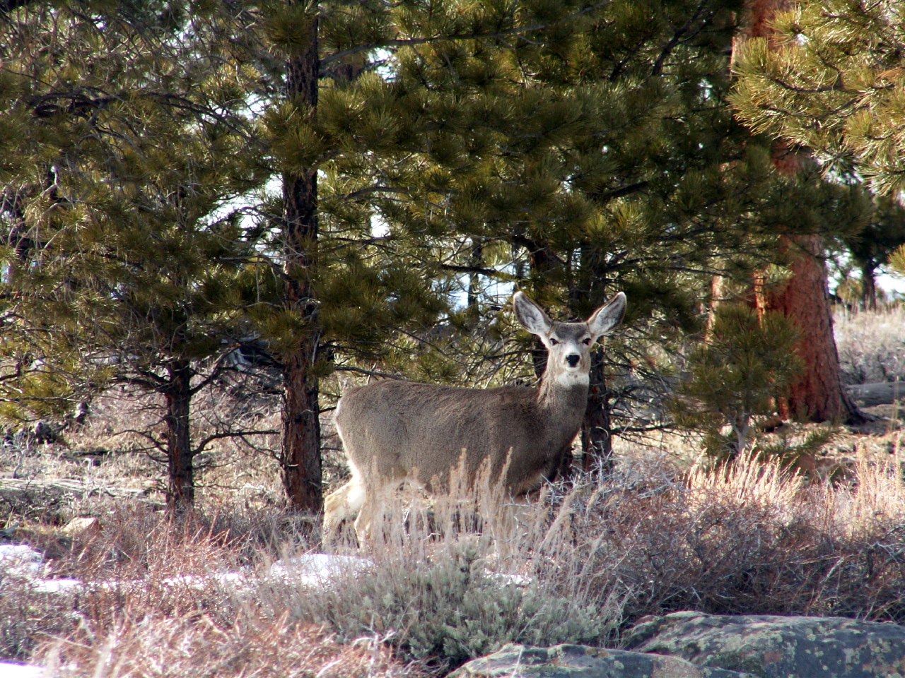 Spirit Lake Campground
