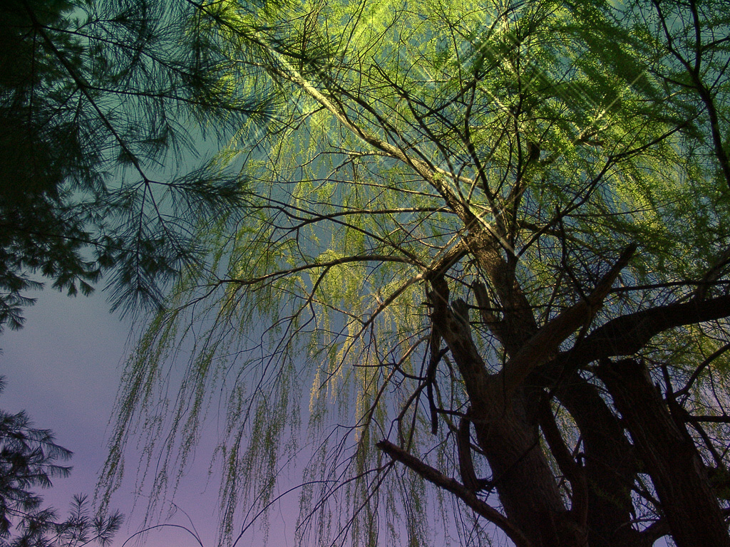 Warriors’ Path State Park