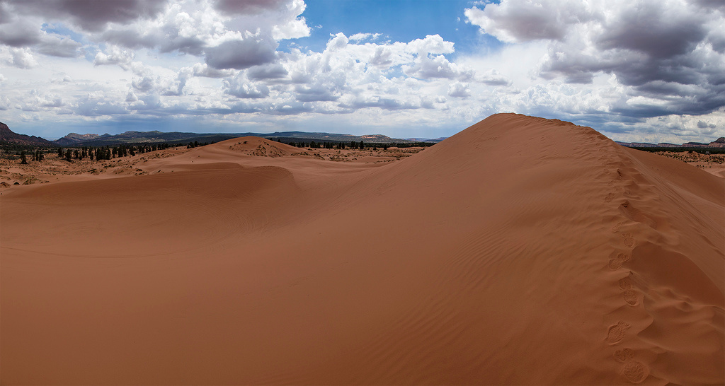 Coral Pink Sand Dunes Campground