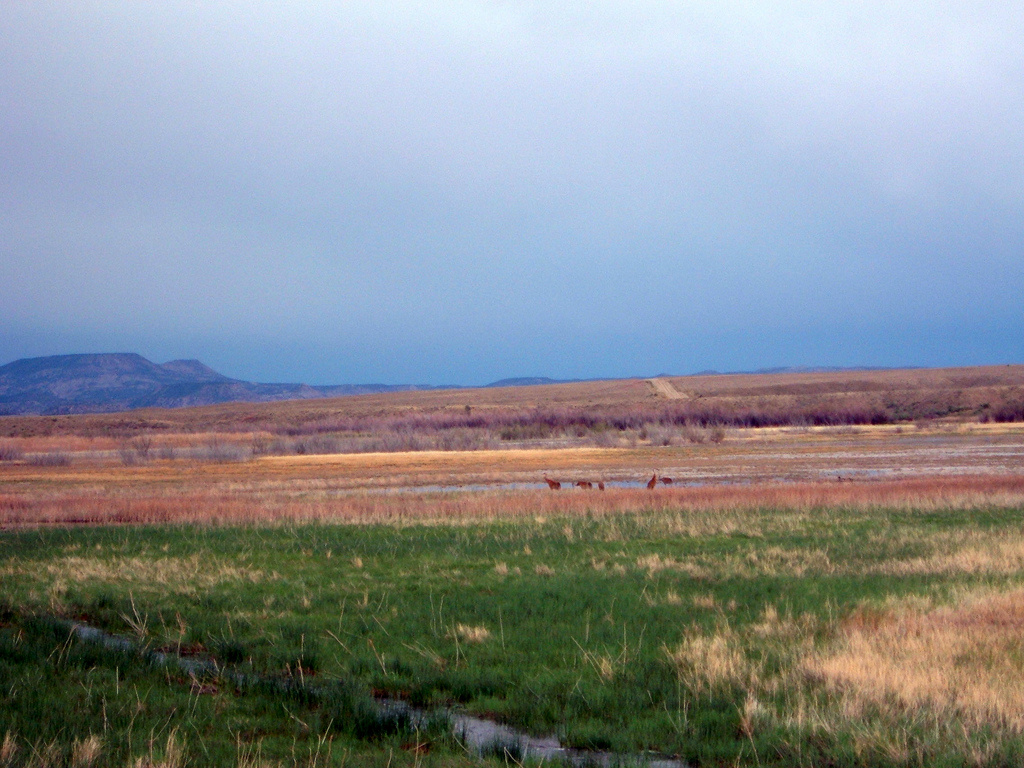 Desolation Gray Canyons Screen Cabins