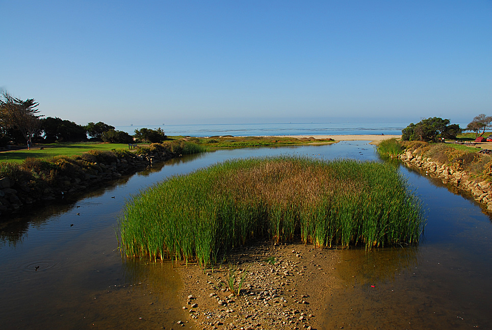 Loved spending my days laying out on the beach with a good book!
