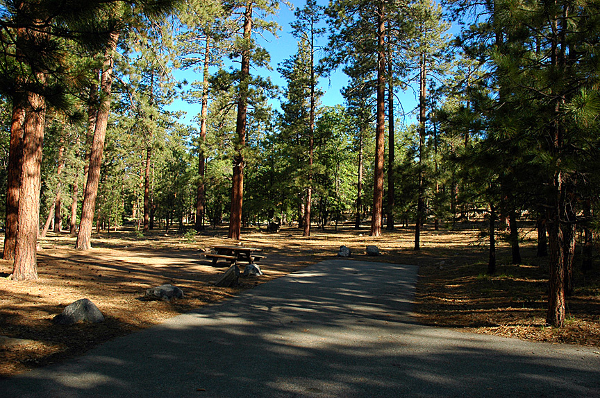 Cozy campfires with s'mores and stories!