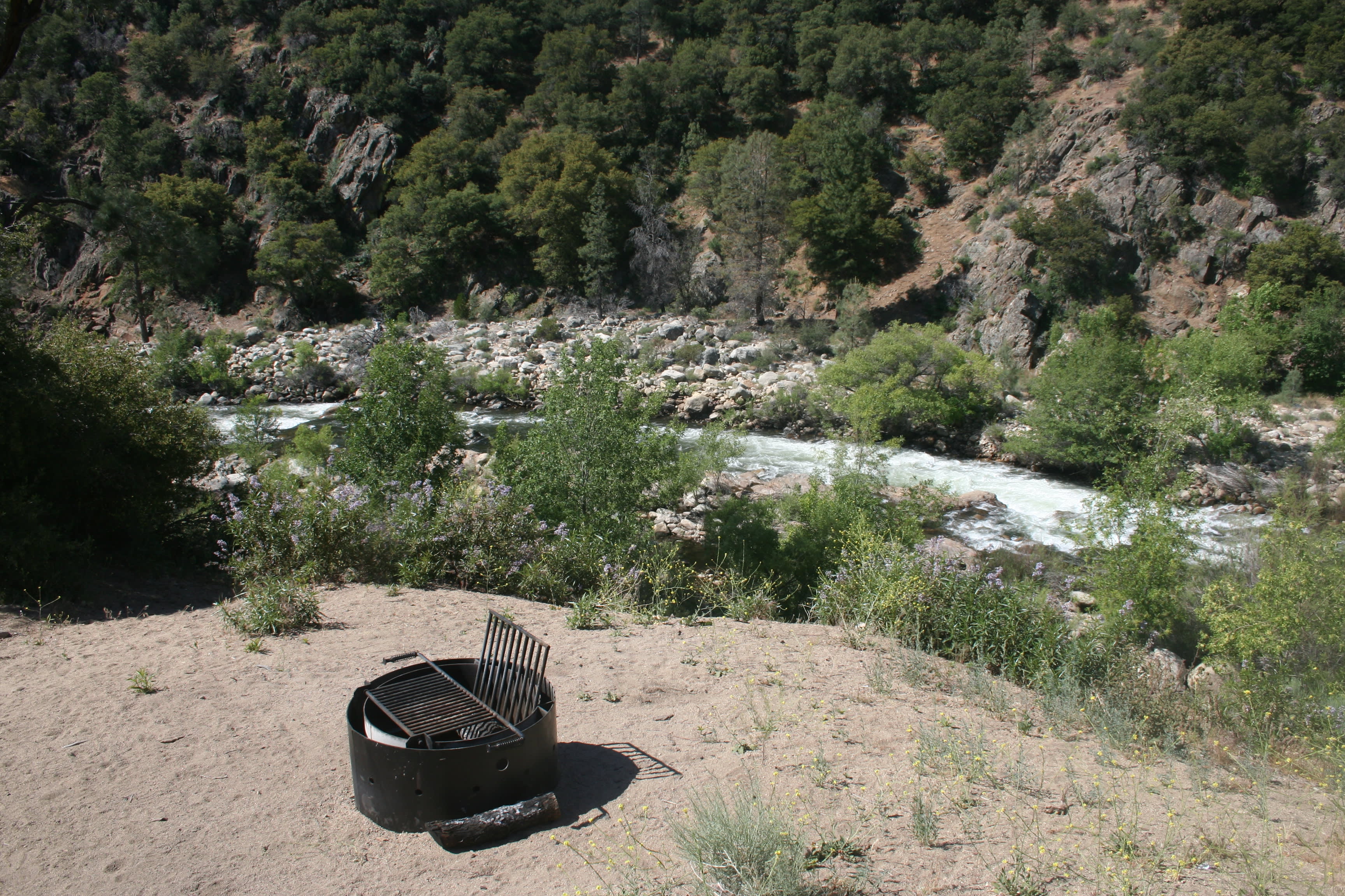 Grilled some great burgers and had a wonderful campfire!