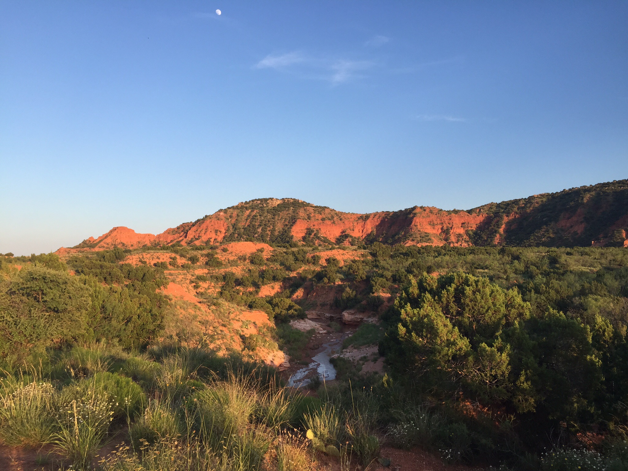 One of the views off the mini trails leading to the campsites