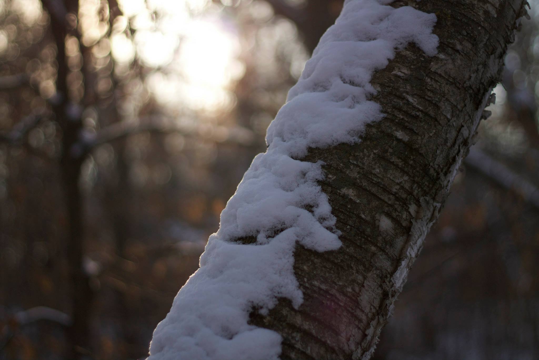 Lake Maria State Park