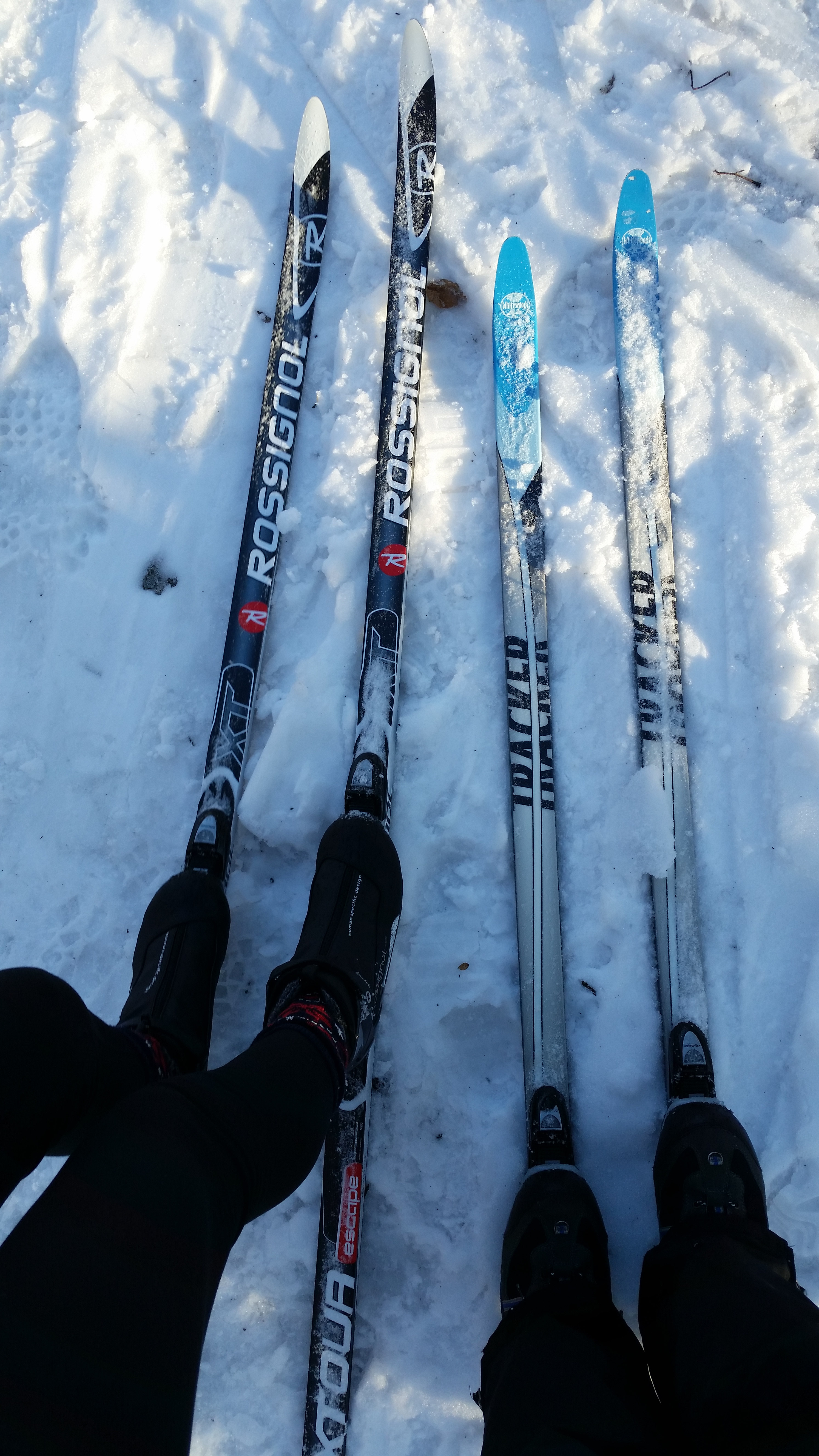 Great cross country ski trails 