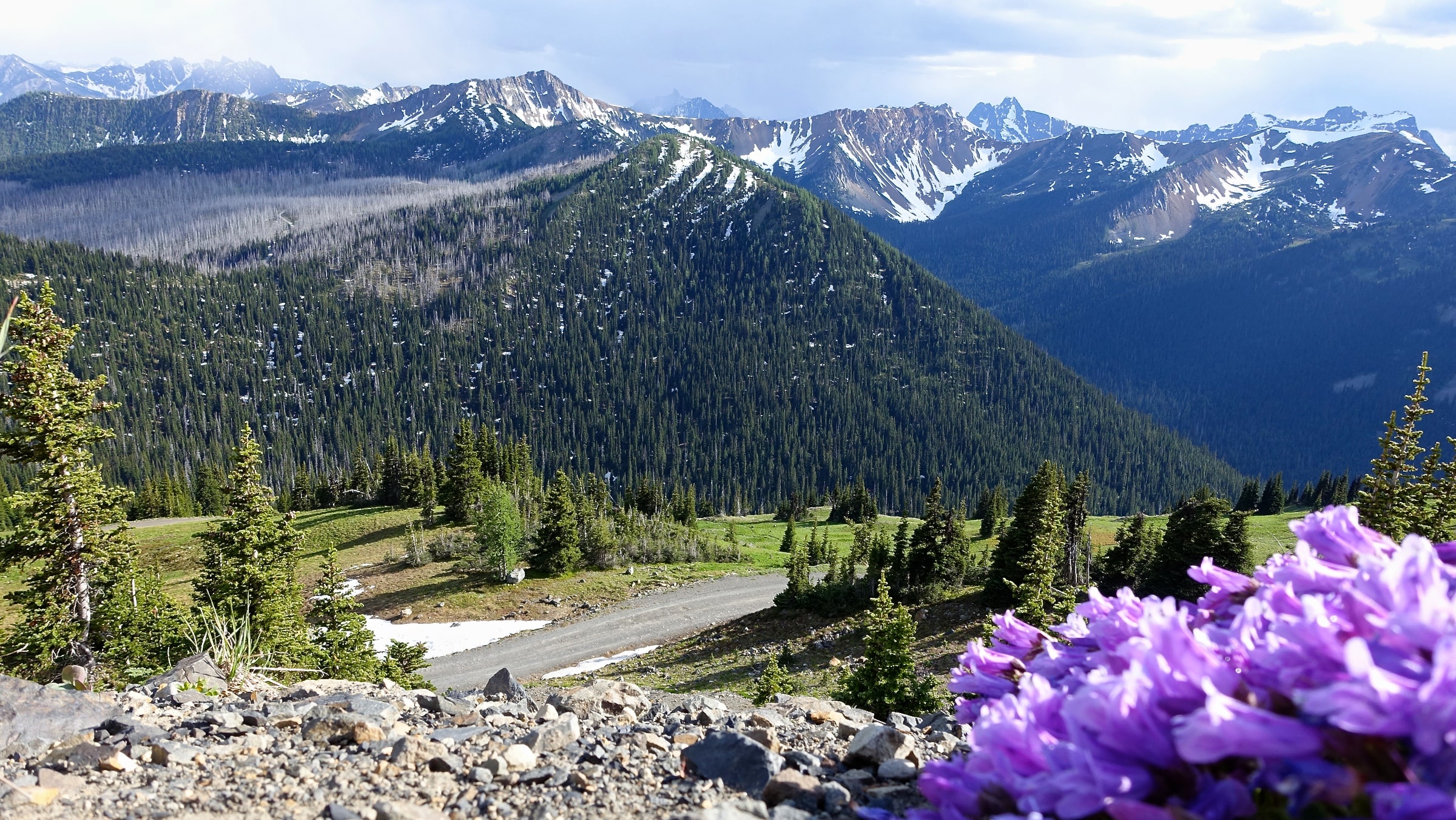 Hart's Pass Campground
