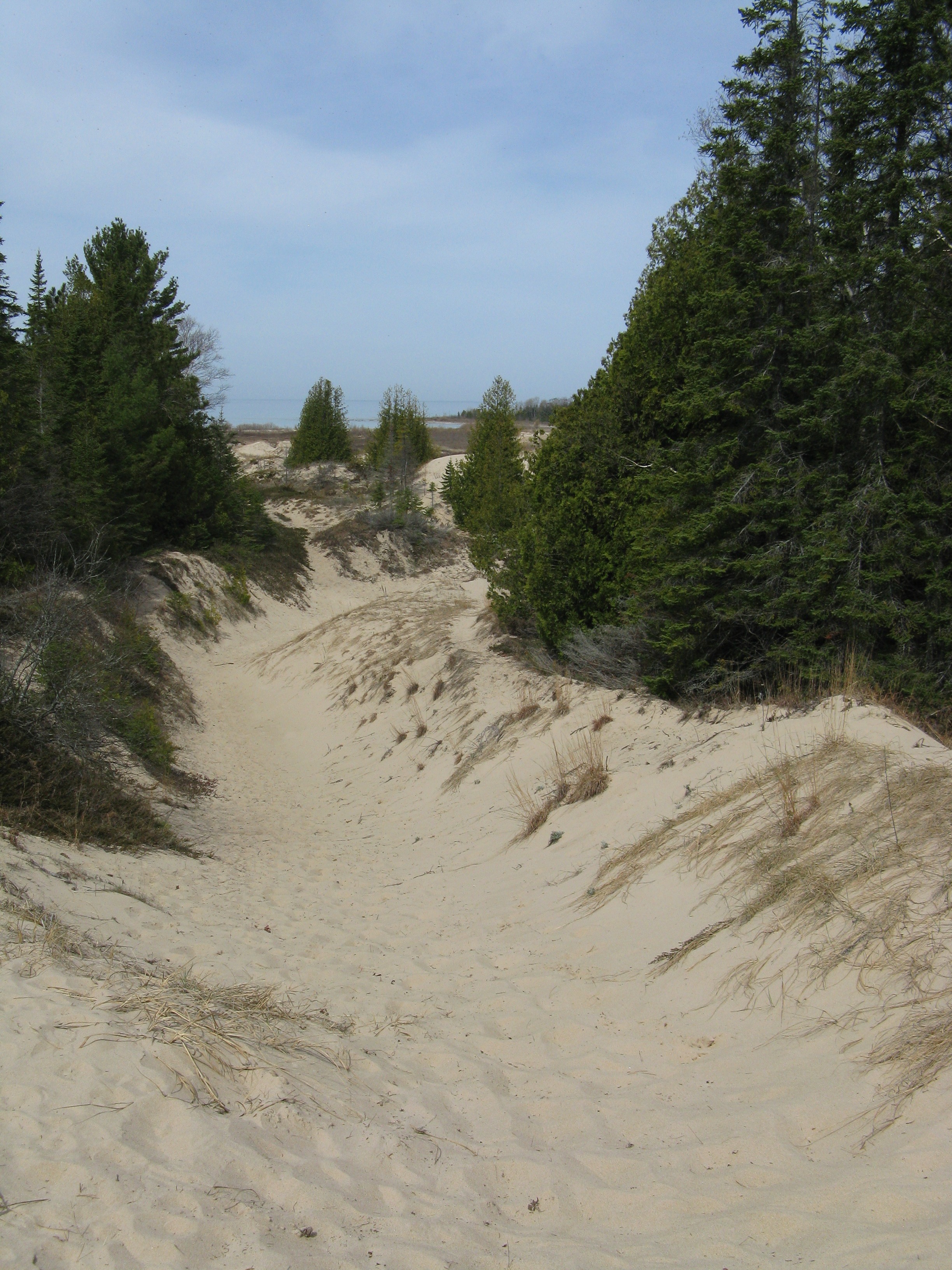 Dunes at SW end of the park. 