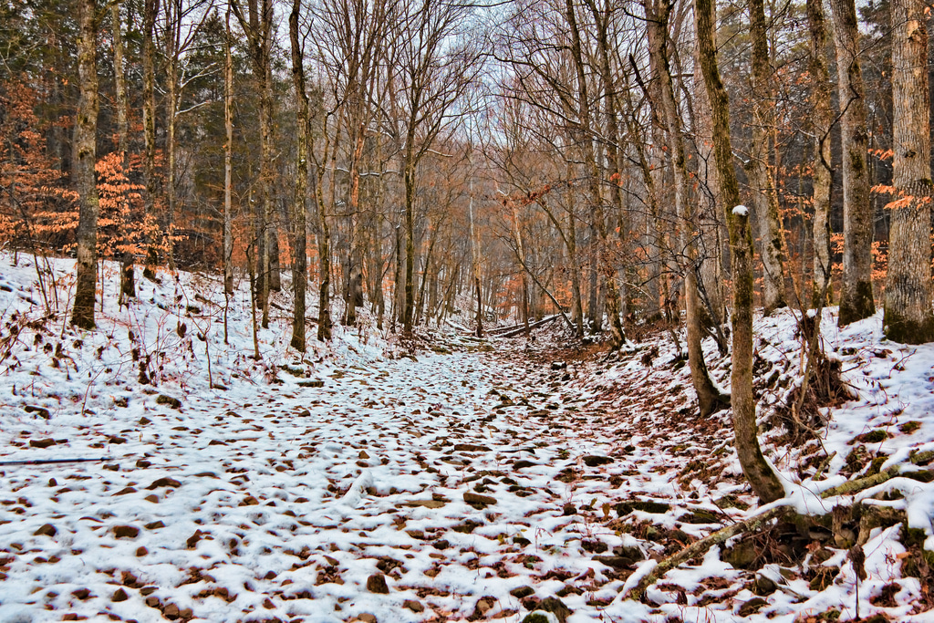 Mammoth Cave National Park