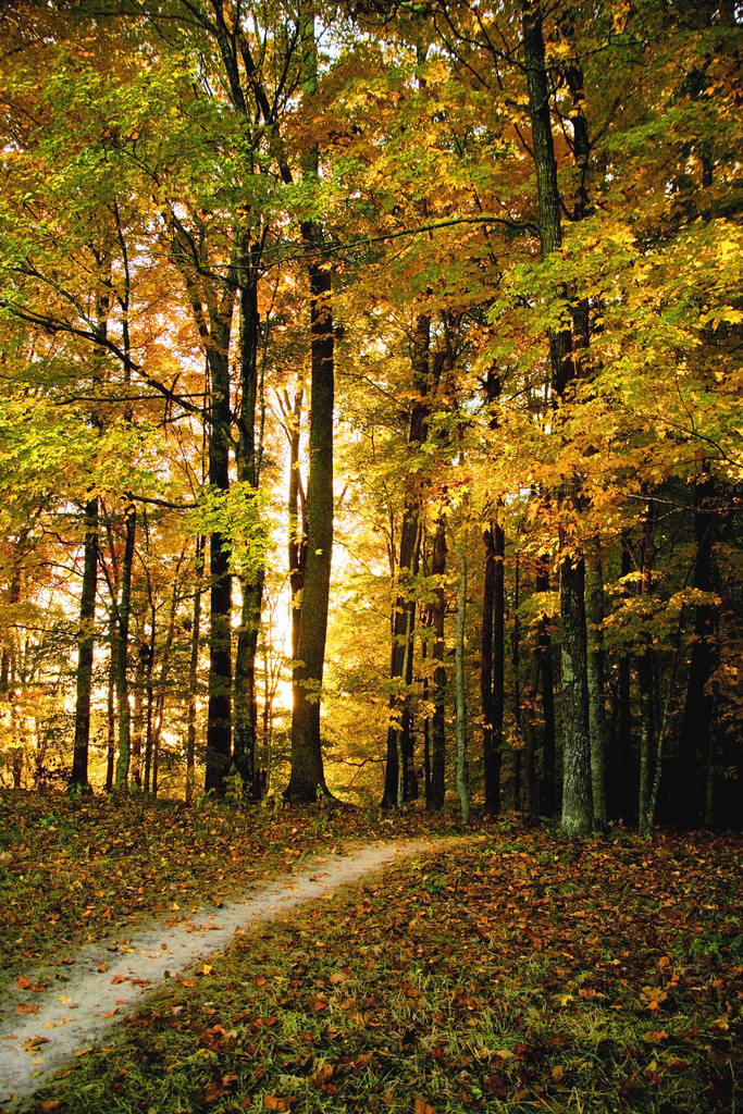 Dale Hollow Lake State Resort Park