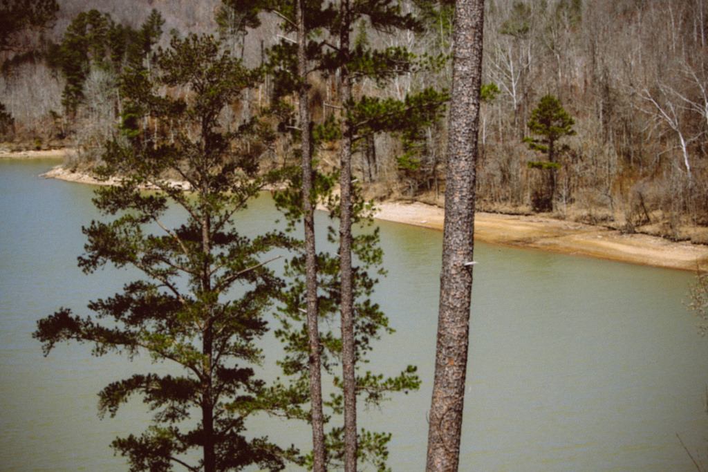 Jenny Wiley State Resort Park