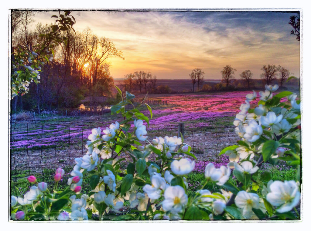 My Old Kentucky Home Campground