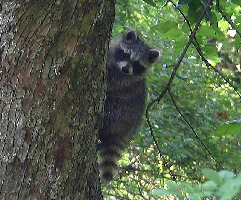Taylorsville Lake State Park