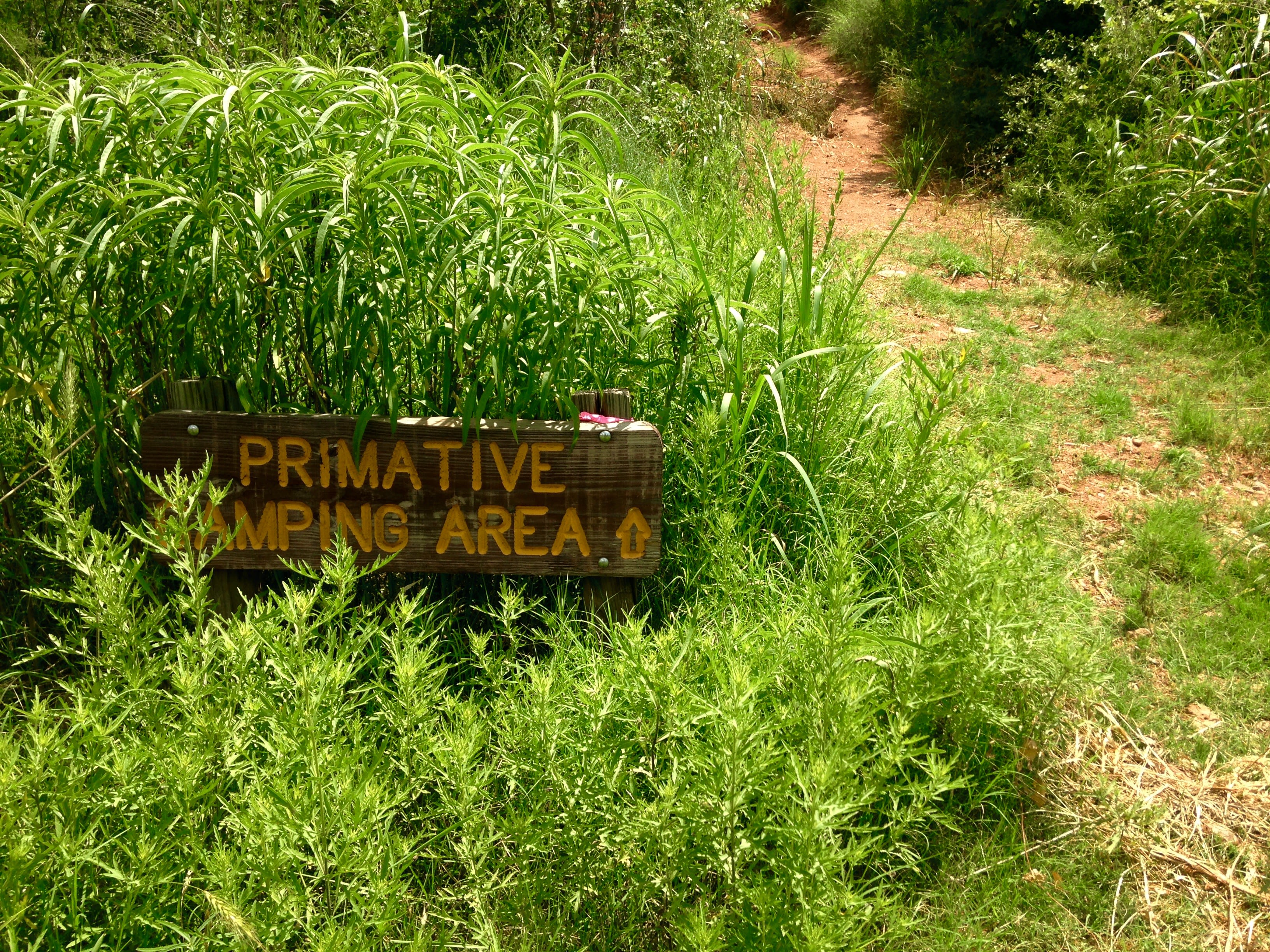 South Prong Tent Campground