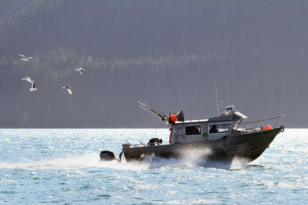 Sunny Cove State Marine Park