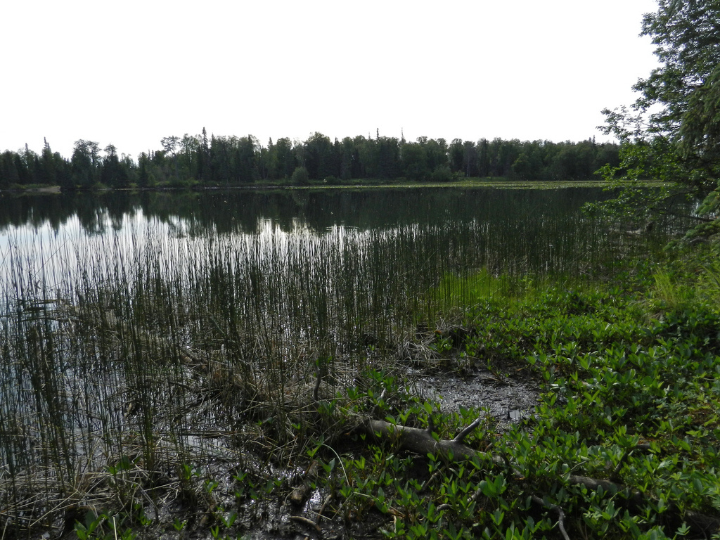 Johnson Lake State Recreation Area