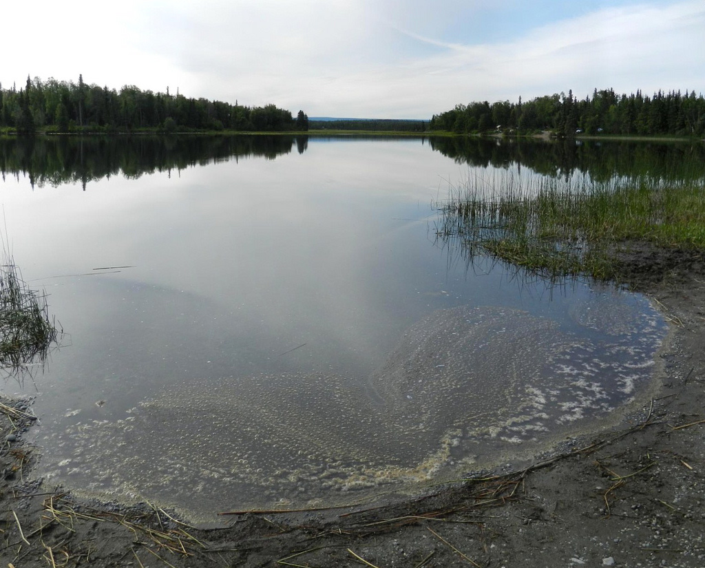 Johnson Lake State Recreation Area