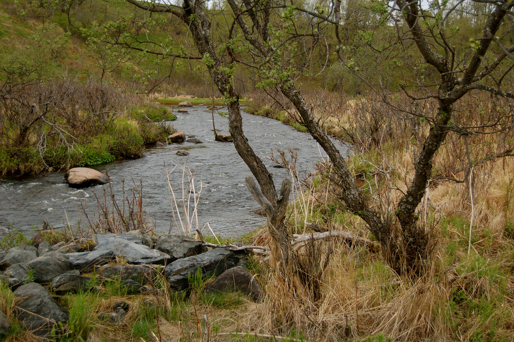 Ninilchik View Campground