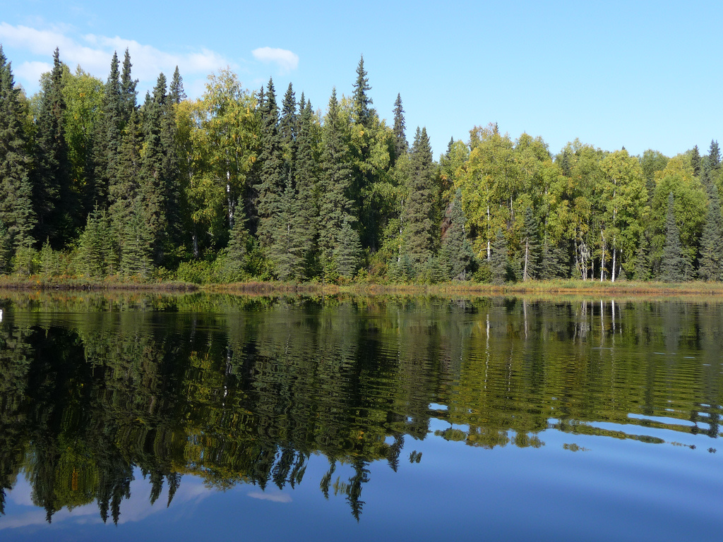 Nancy Lake State Recreation Area