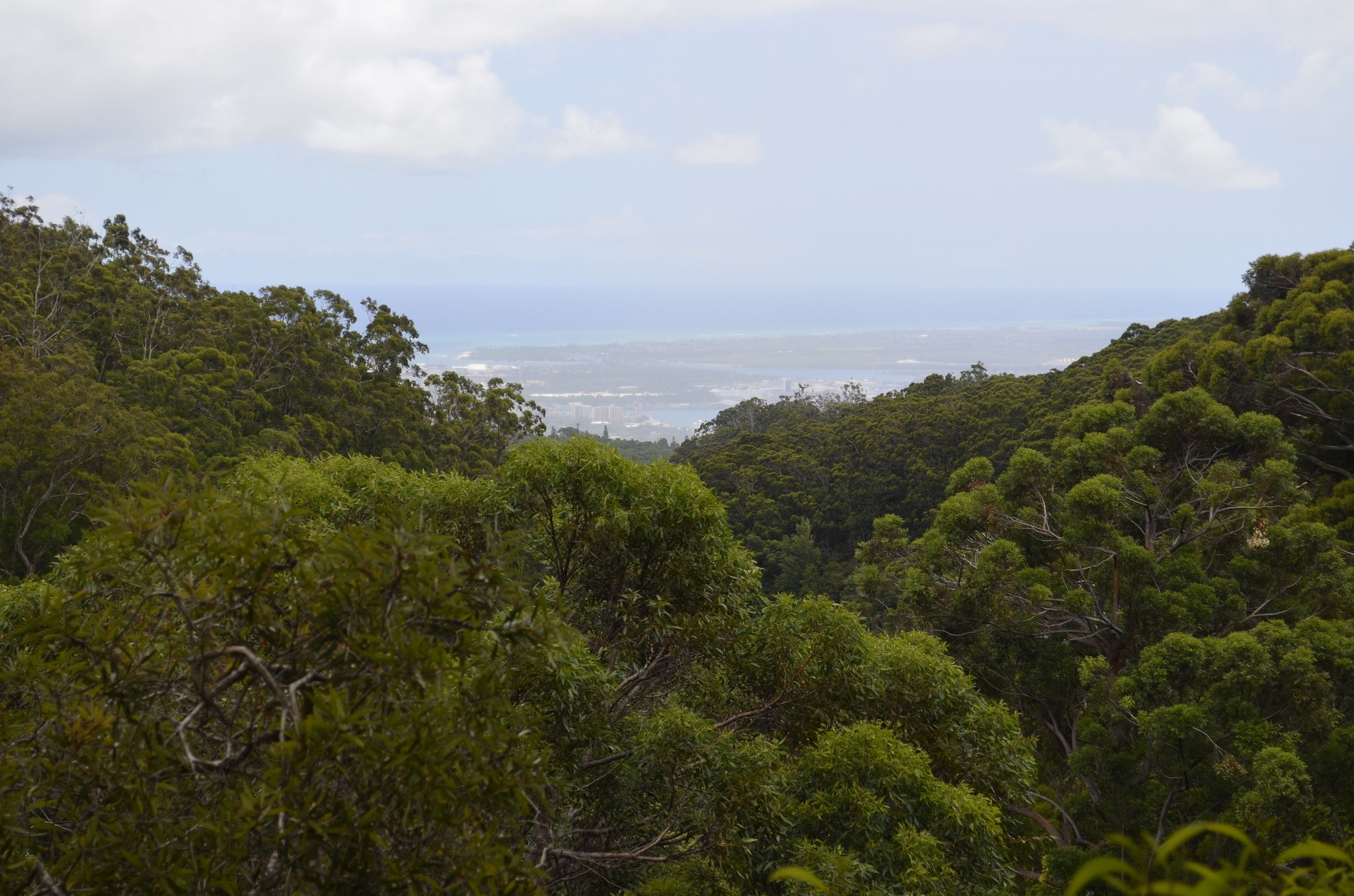 Keaīwa Heiau State Recreation Area