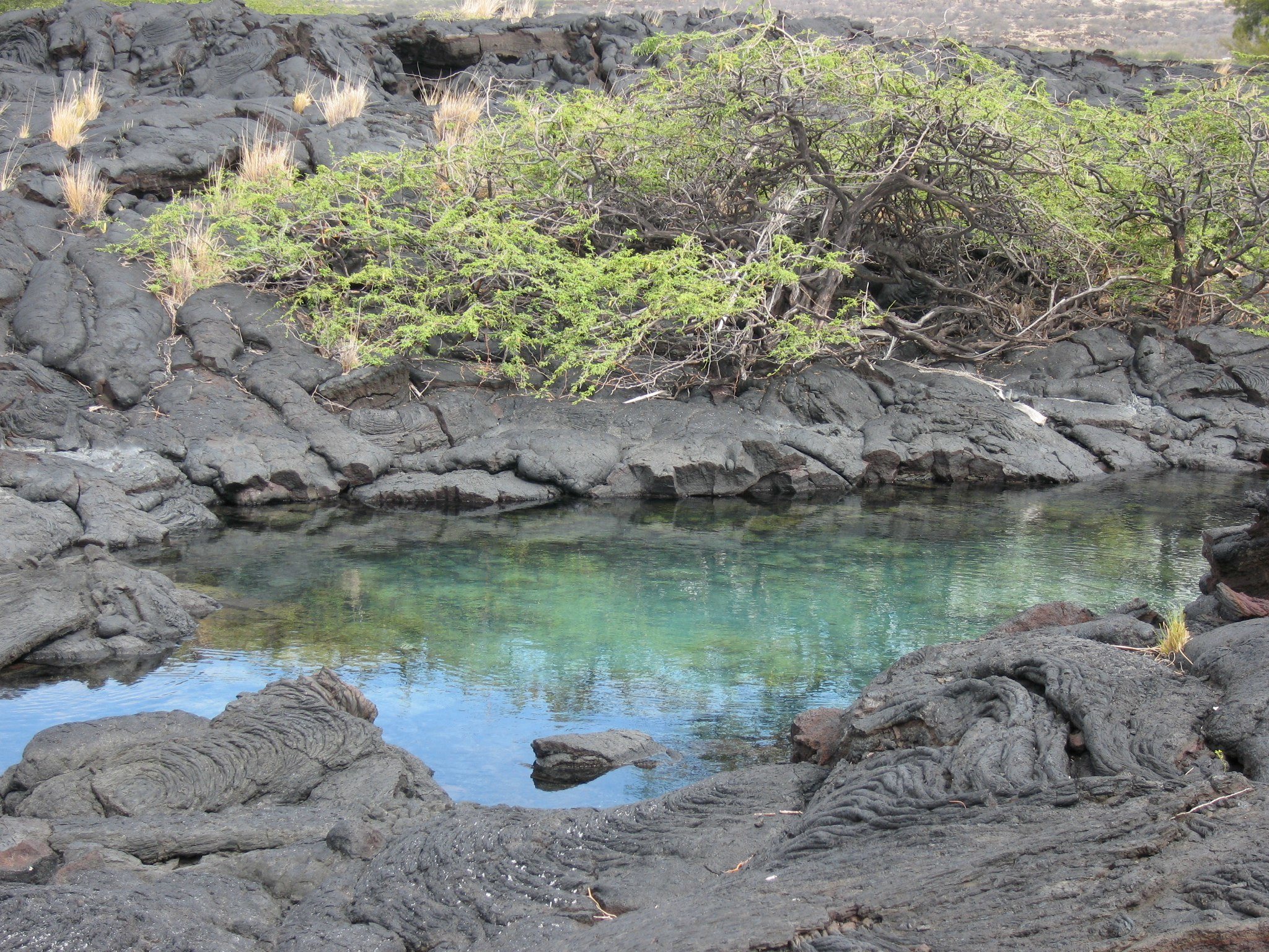 Kīholo State Park Reserve