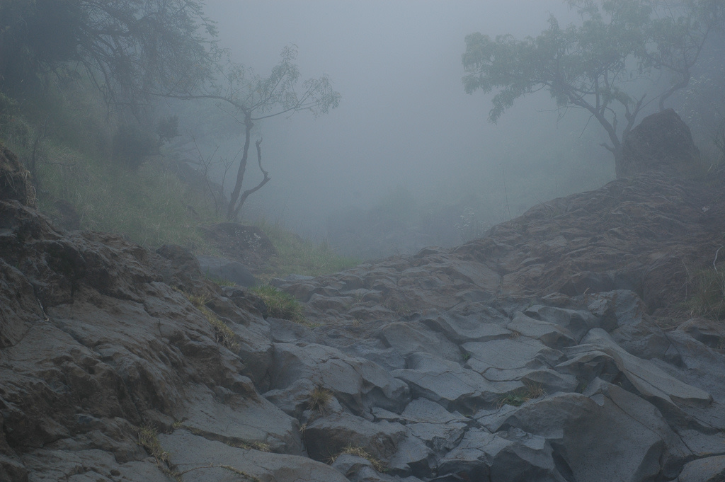 Polipoli Spring State Recreation Area