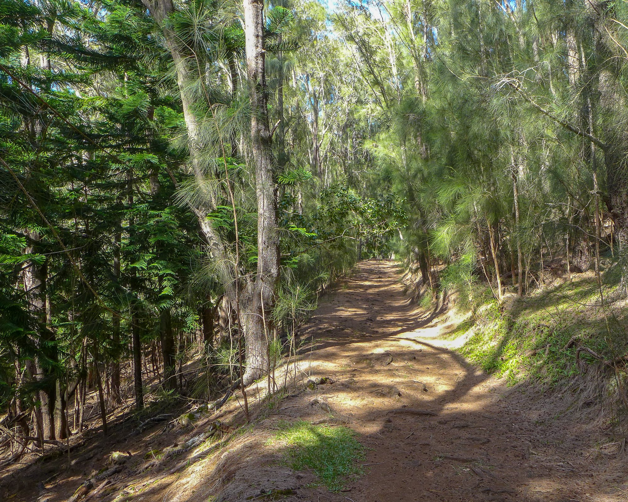 Pālāʻau State Park