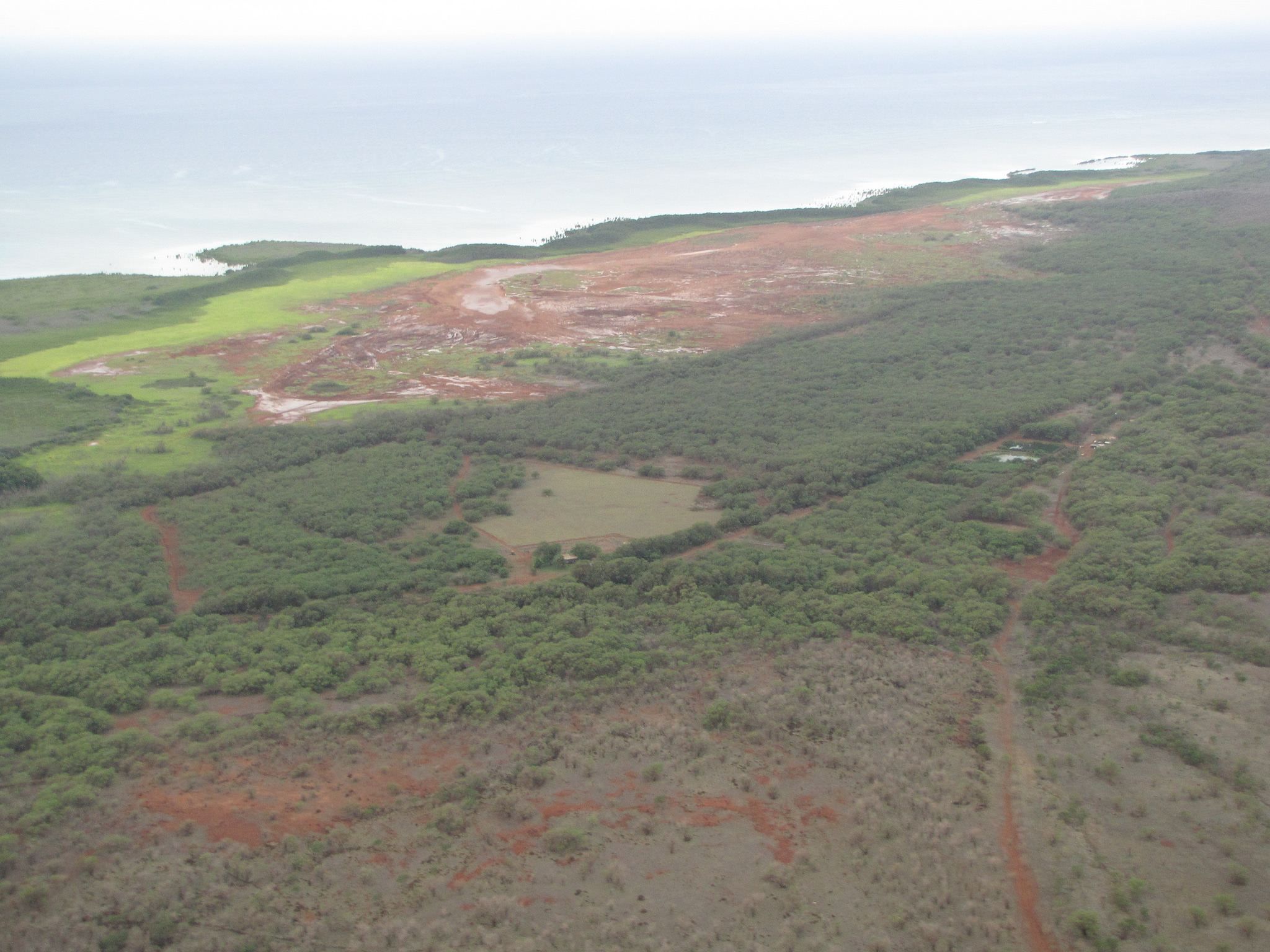 Pālāʻau State Park