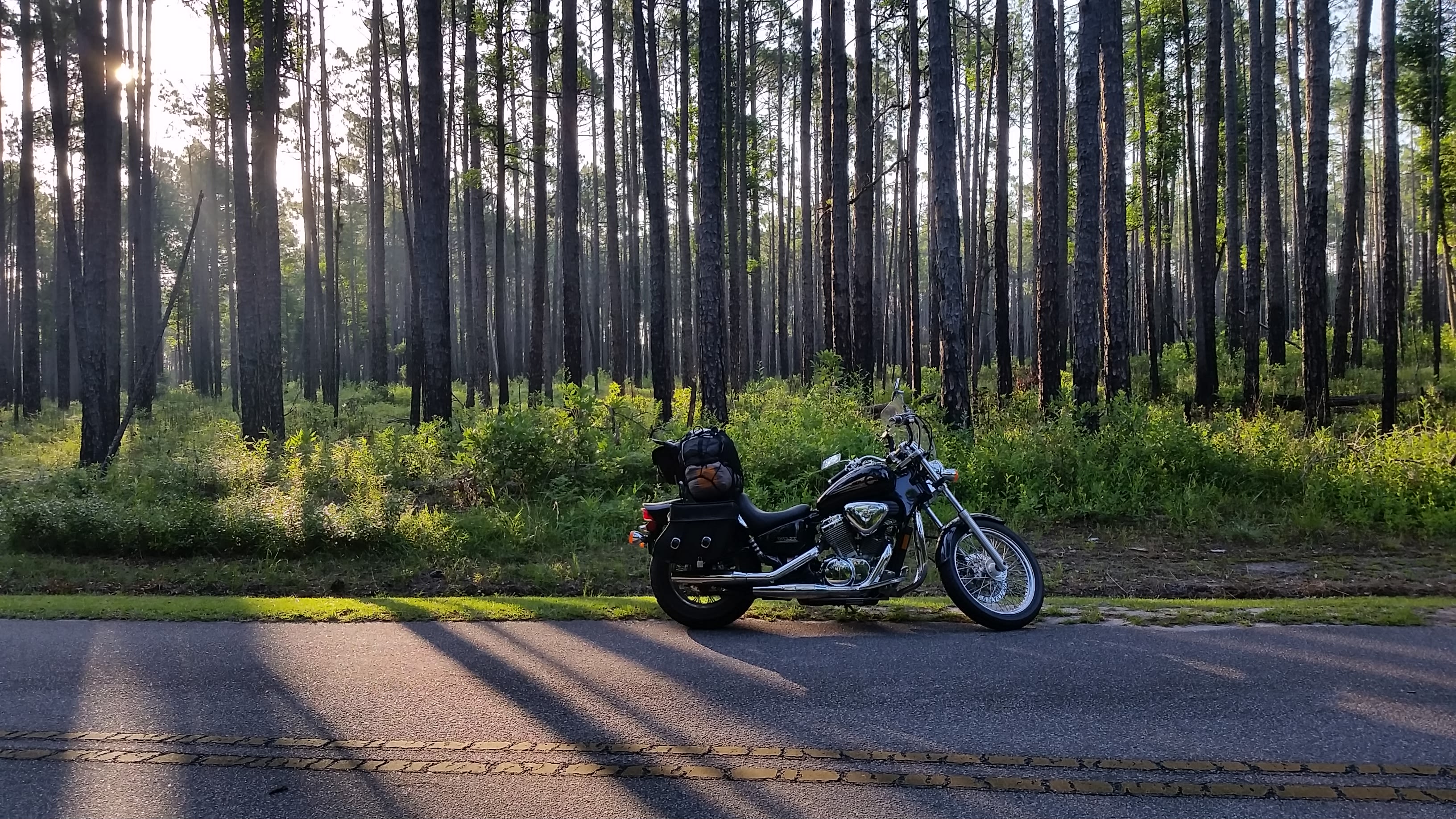 Road between visitor center and campsites.