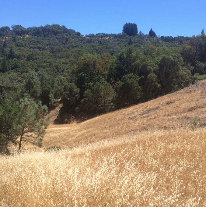 Attempt at Huff'n'Puff trail