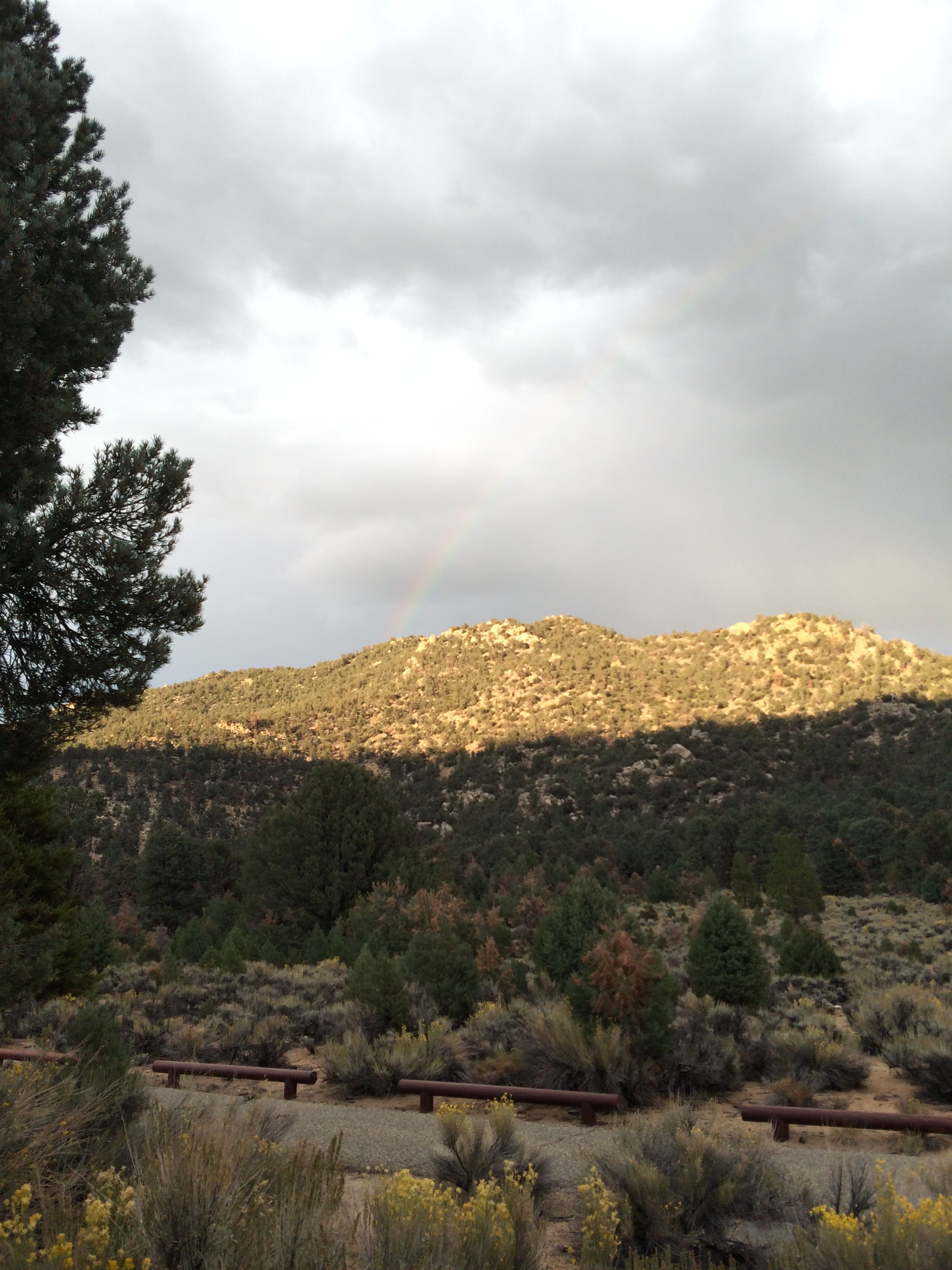View from southwest side of campground, facing east